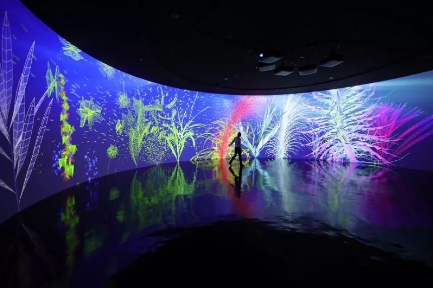 Musée en Herbe, exposition Digital Abysses