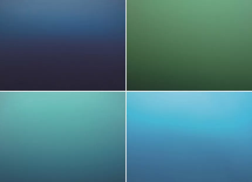 Animations scientifiques 